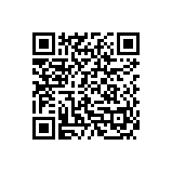 qr code version